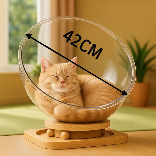 Cama Moderna Para Gatos Esférica Acrílico Y Mdf L 42 Cm Transparente Moderno