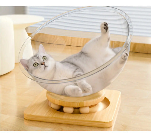 Cama Moderna Para Gatos Esférica Acrílico Y Mdf L 42 Cm Transparente Moderno