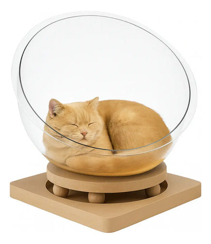 Cama Moderna Para Gatos Esférica Acrílico Y Mdf L 42 Cm Transparente Moderno